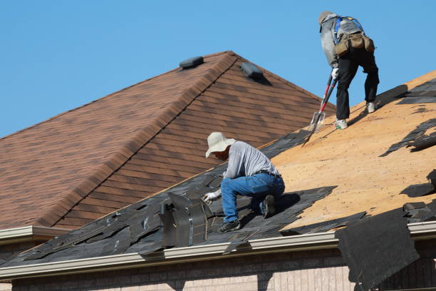 Best Wood Shake Roofing  in Rosenberg, TX