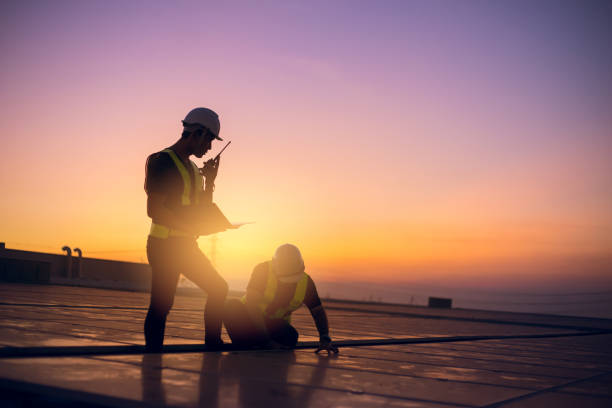 Best Roof Moss and Algae Removal  in Rosenberg, TX