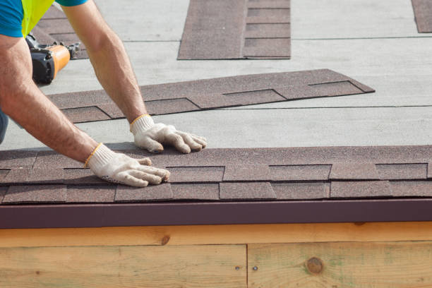 Best Roof Insulation Installation  in Rosenberg, TX